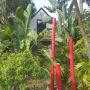 Апартаменты - Caboolture, Arbor-Grove The Loft