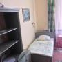 Homestays - Krynica Zdrój, Flora