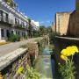 Apartmány - Córdoba, Apartamento Judería 2