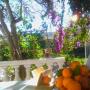 Guest houses - Ulcinj, Guest House Magnolia
