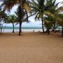 Апартаменты - Рио-Гранде, Beach Front Apartment Rio Mar Puerto Rico