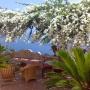 Holiday homes - Praiano, Palazzo Rocco