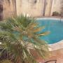 Bed and Breakfasts - Mosta, Hail Mary