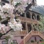 Hotely - Kazbegi, Max Hotel Gogi Alibegashvili