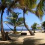 Hotel - Monkey River Town, Sabal Beach