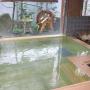 Ryokans - Yamanouchi, Yudanaka Yasuragi