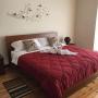 B&B (nocľahy s raňajkami) - Cuenca, Blue Bird Bed and Breakfast