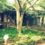 Lodge - Marloth Park, Phumula Kruger Lodge and Safaris