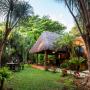 Hotels - Playa del Carmen, Hotel Lunata - 5th Avenue