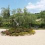 Farm stays - Montesicuro, Agriturismo Poggio Agli Ulivi