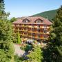 Hotely - Badenweiler, Wellnesshotel am Park