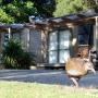 Holiday parks - Russell, Russell-Orongo Bay Holiday Park