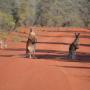 Dovolenkové domy - East Toorale, Gundabooka National Park Cottages