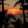 Курортные отели - Чанг, Paradise Palms