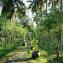 Rezorty - Phu Quoc, Paradiso Phu Quoc Resort