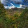 Case vacanze - Waynesville, Cottage in the Smoky Mountains