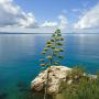 Apartmány - Split, 3e Apartment