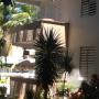 Виллы - Isabela, Western Puerto Rico Beach Villas, Isabela