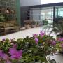 Apartmanok - Fortaleza, Flats Mobiliados - Praia do Mucuripe