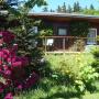 Dovolenkové domy - Grünbach, Luxury Cottage in Grunbach Saxony near Lake
