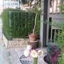 Bed & Breakfast - Aragona, B&B Macalube Aragona