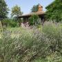 Holiday homes - Danilovgrad, The Cool Cyclist Cottage