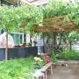 Bed and breakfasts - Lhasa, Shicuo Guesthouse