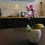 Apartmány - Dortmund, Apartmenthaus Marten