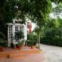 Affittacamere - Ninh Binh, Green papaya home stay