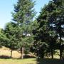 Chaty - San Juan Norte, Cumbres del Poas
