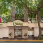 Hotels - Mendoza, Hotel Carollo