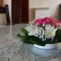 Pensionen - Podgorica, Guest House Positive