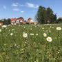 Penzióny - Rietz Neuendorf, Alwine - Landhaus an den Spreewiesen