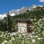 Hotels - Saas-Grund, Hotel Adler