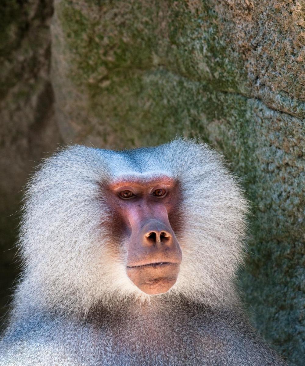 Hertz Car Rental near Airport