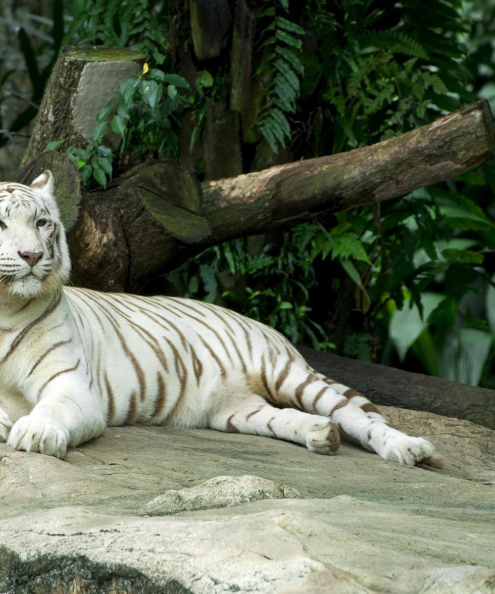 Enterprise Car Rental near Lanzarote Airport