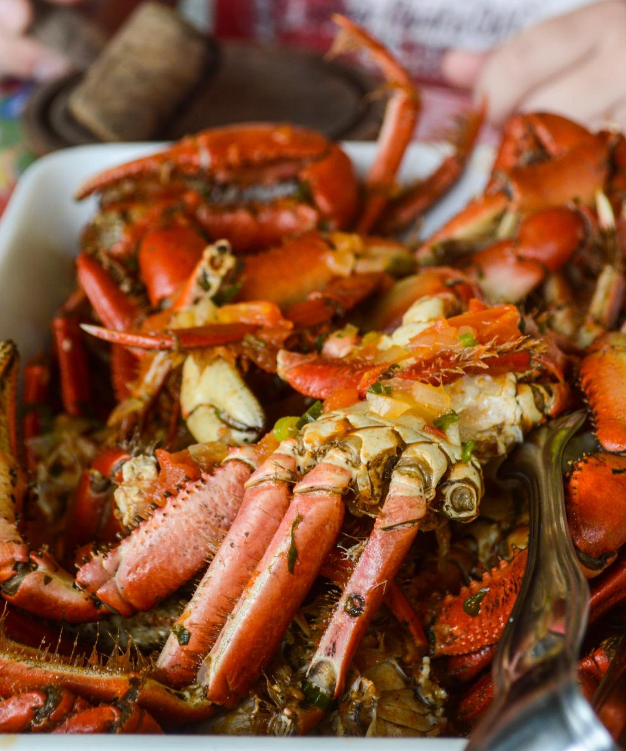 Foco Rent a Car Car Rental near Santa Maria Airport