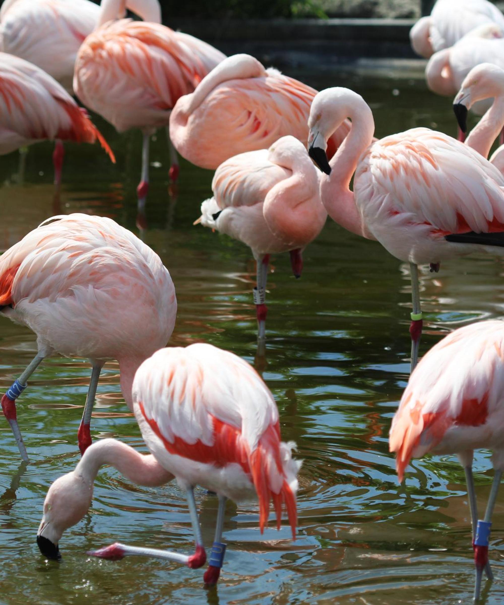 Cheap car rental in Alexandria Find and compare deals