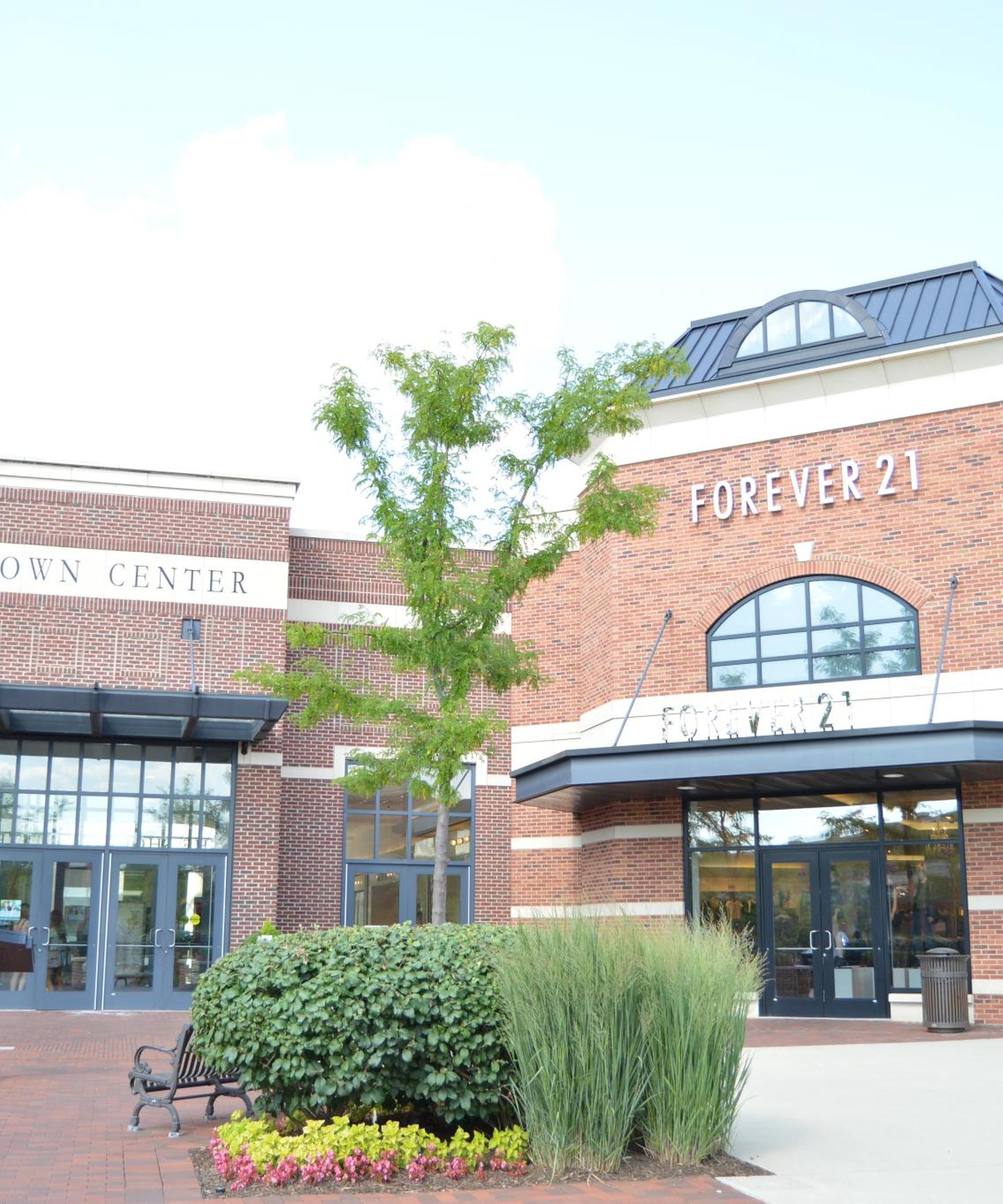 Cheap car rental in Lombard Find and compare deals