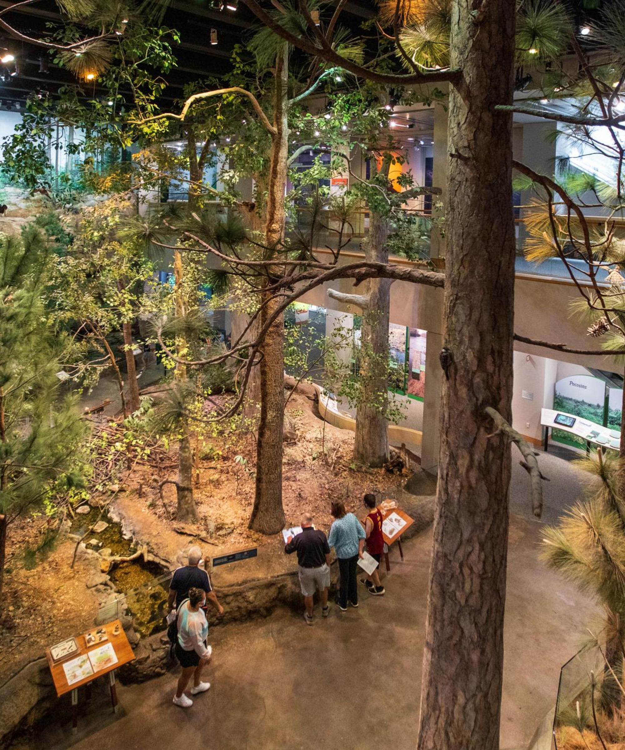 Cheap car rental in Raleigh: Find and compare deals | Booking.com