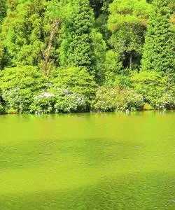 Một trong những địa danh được ghé thăm nhiều nhất ở Gramado.