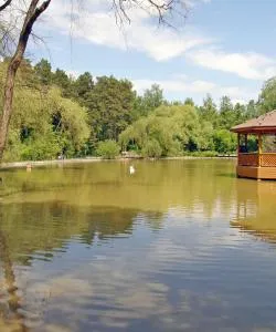 Одна из самых посещаемых достопримечательностей города Новосибирск.