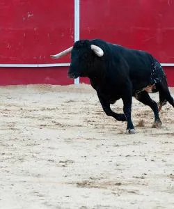 One of the most visited landmarks in Palencia.