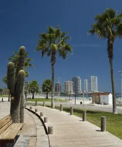Eine der meistbesuchten Sehenswürdigkeiten in Iquique.