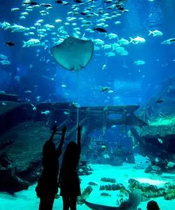 シンガポールで大人気の観光スポット。