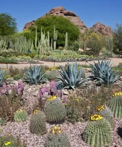 One of the most visited landmarks in Scottsdale.