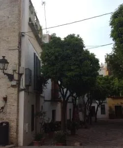 One of the most visited landmarks in Seville.