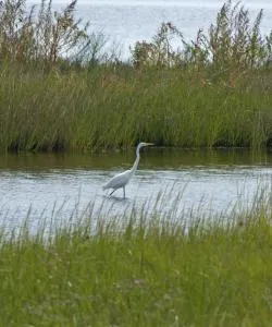 Eine der meistbesuchten Sehenswürdigkeiten in Fort Pierce.