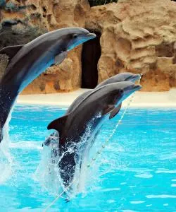 Ένα από τα πιο δημοφιλή αξιοθέατα σε San Felipe de Puerto Plata. 