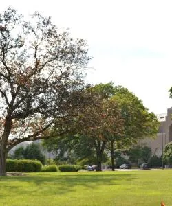 One of the most visited landmarks in Oak Brook.